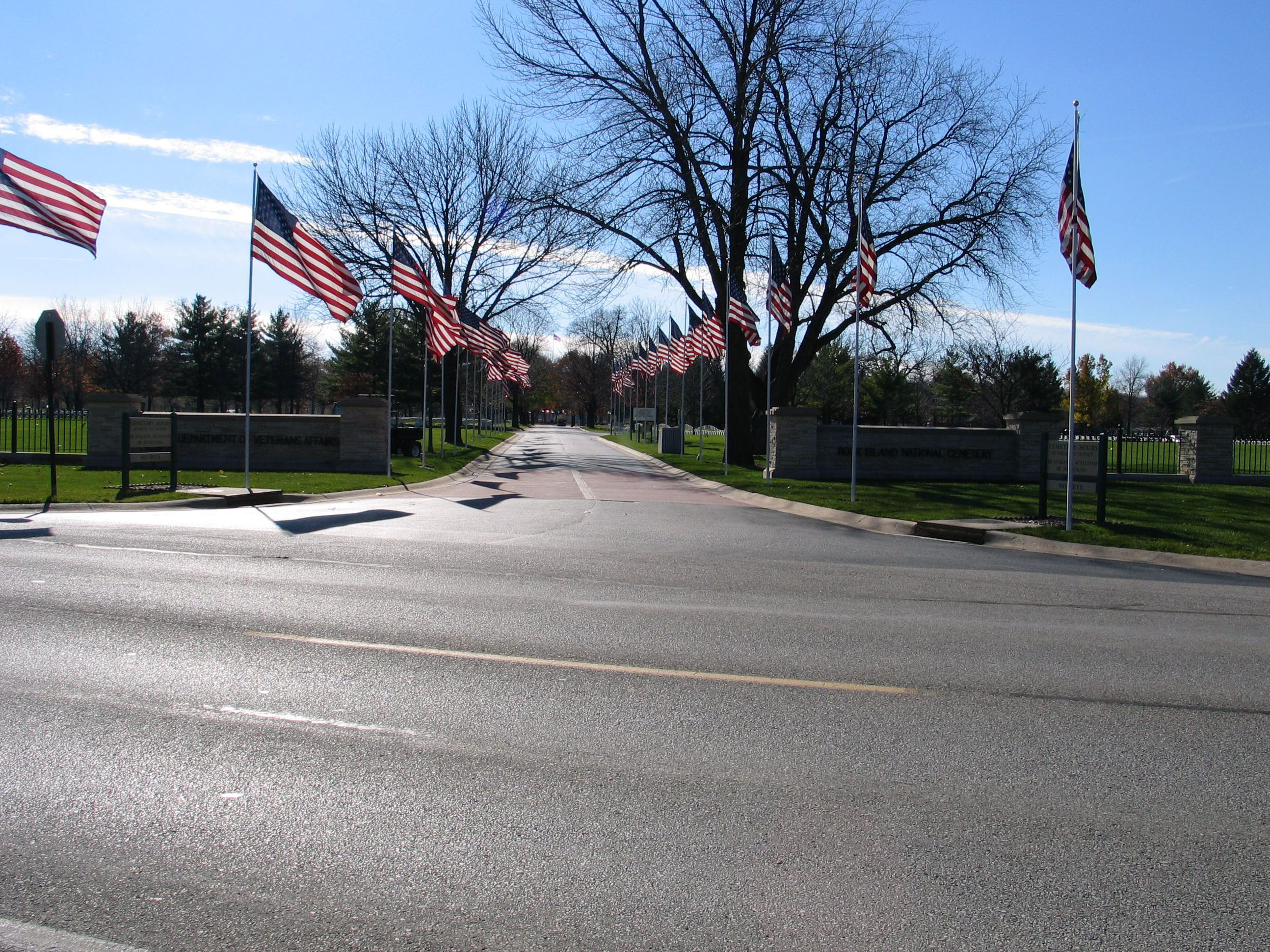 Picture of a cemetery's avenue of flags