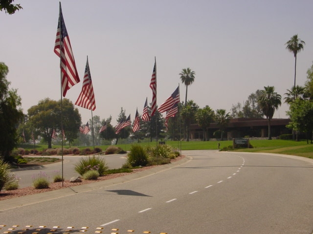 Picture of a cemetery's avenue of flags.