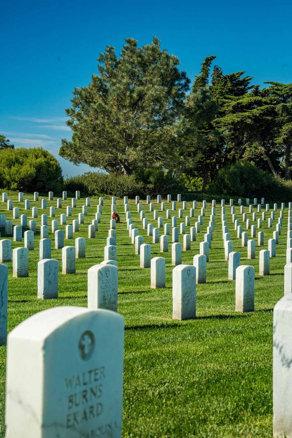 Background image of a cemetery