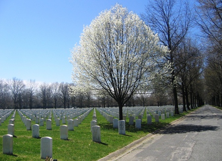 Burial area at Beverly National Cemetery. Burial area at Beverly National Cemetery.