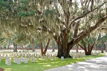 Burial area at Beaufort National Cemetery. Burial area at Beaufort National Cemetery.