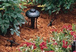 Picture of an irrigation drip in a flower bed