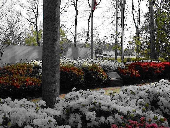 Picture of a cemetery's memorial walk.